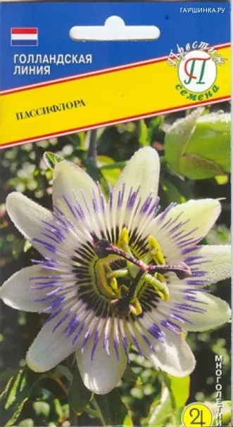 Пассифлора 10 шт, Семена Престиж