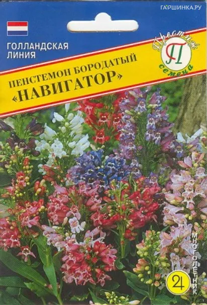 Петуния Пурпурная звезда F1 ампельная (серия Лавина) 10 др, Семена Престиж