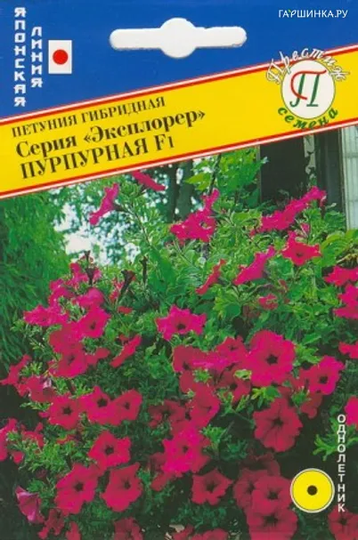 Петуния амп.крцв."Эксплорер" Пурпурная F1 5 др, Престиж
