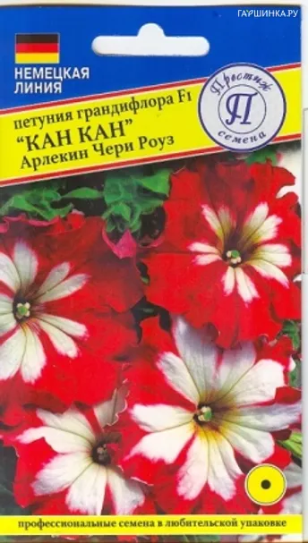 Петуния Черри Роуз (серия Кан-Кан Арлекин) 5 др, Семена Престиж
