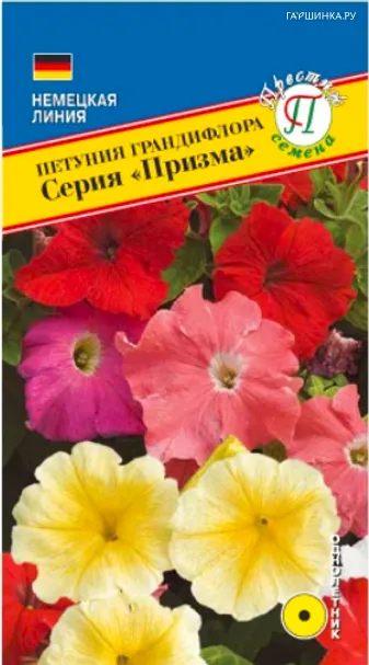 Петуния гранд."Призма"  Смесь F1 10 др, Престиж
