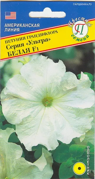 Петуния гранд."Ультра" Белая F1 10 др, Престиж
