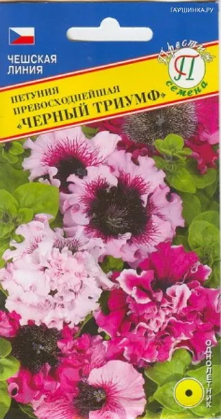 Петуния Черный Триумф превосходнейшая 10 др, Семена Престиж