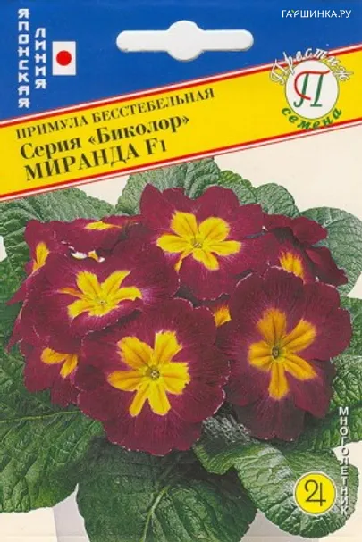Примула Миранда F1 (Биколор) 5 шт, Семена Престиж