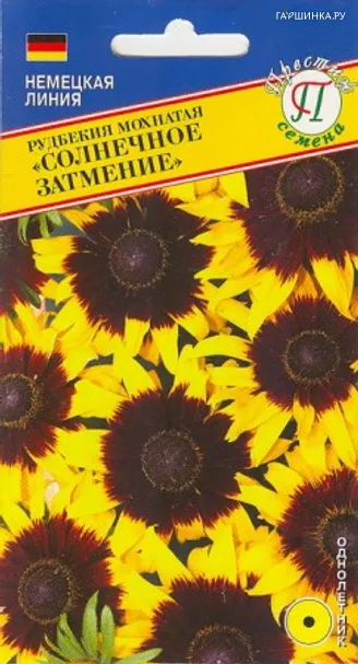 Рудбекия мохнатая "Солнечное затмение" 10 шт, Престиж