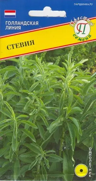 Стевия (Медовая трава) 5 шт, Семена Престиж