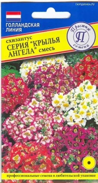 Схизантус Крылья Ангела смесь 0,1 г, Семена Престиж