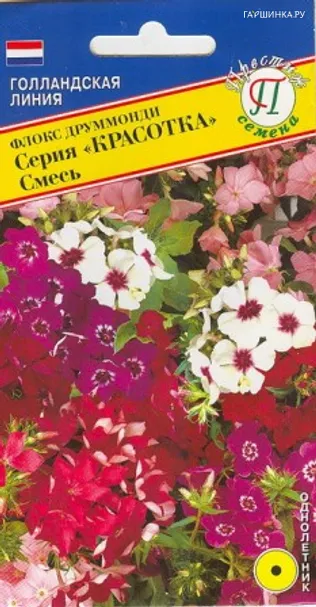 Флокс Красотка 0,2 г, Семена Престиж