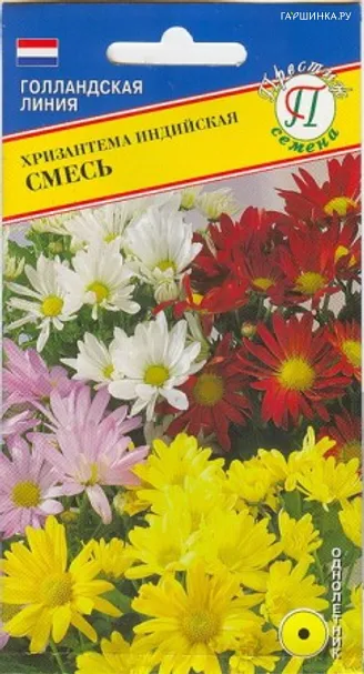 Хризантема  Смесь индийская 0,05 г, Семена Престиж