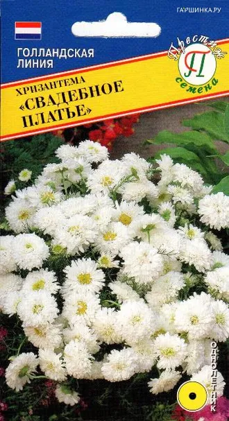 Хризантема Свадебное платье 10 шт, Семена Престиж