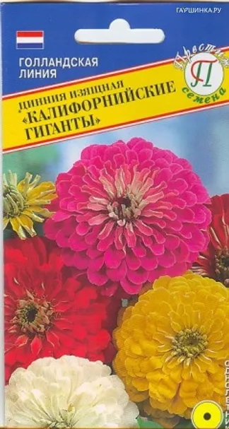 Цинния Калифорнийские гиганты изящная 35 шт, Семена Престиж
