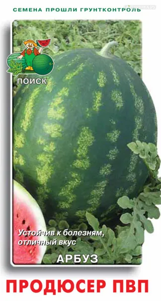 Арбуз АУ Продюсер ПВП 15, Поиск