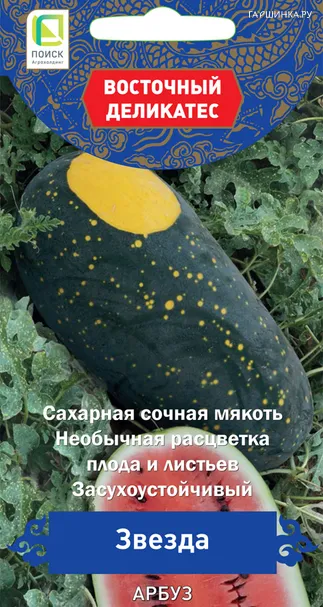 Арбуз Звезда (А) 5, Поиск