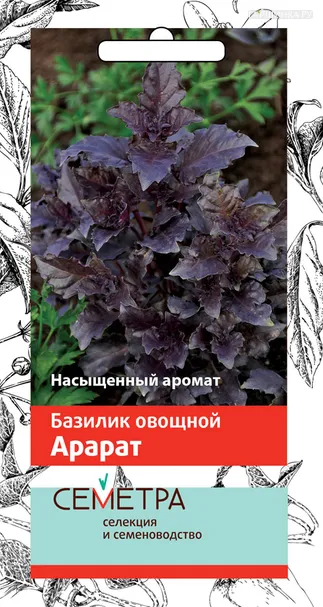 Базилик Арарат (А) овощной 0,25, Семена Поиск