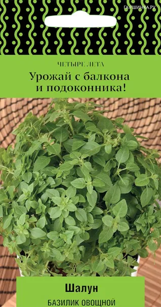 Базилик Шалун (А) овощной 0,1, Семена Поиск
