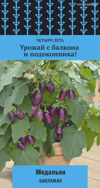 Баклажан Медальон (А) 5, Поиск