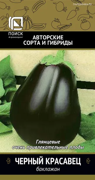 Баклажан Черный красавец (А) 0,25, Поиск
