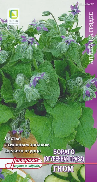Бораго (Огуречная трава) Гном 0,5 г, Семена Поиск