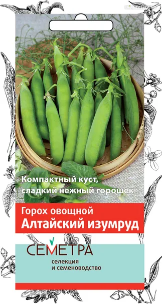 Горох овощной Алтайский изумруд 10, Поиск