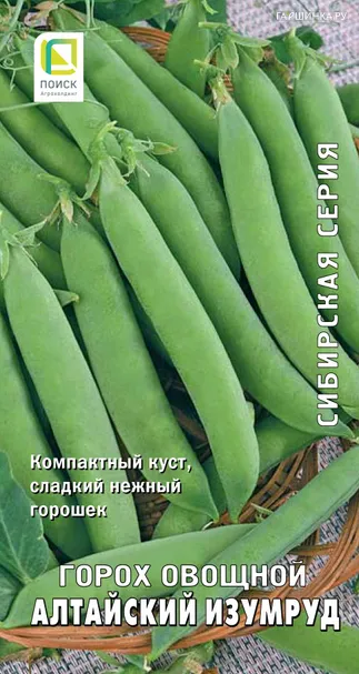 Горох овощной Алтайский изумруд 10, Поиск