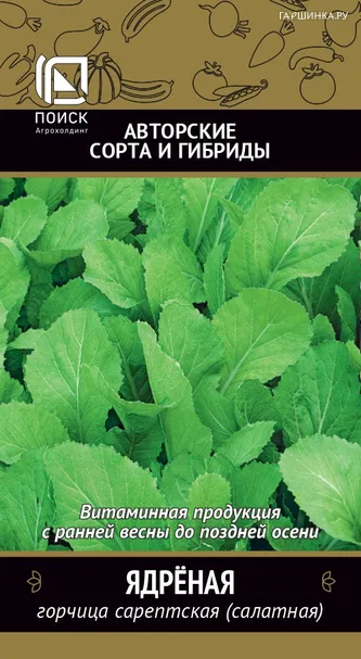 Горчица Ядреная сарептская (салатная) 1 г, Семена Поиск
