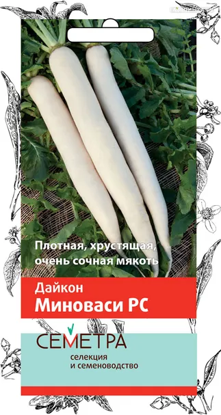 Дайкон (Редька китайская) Миноваси РС 1 г, Семена Поиск