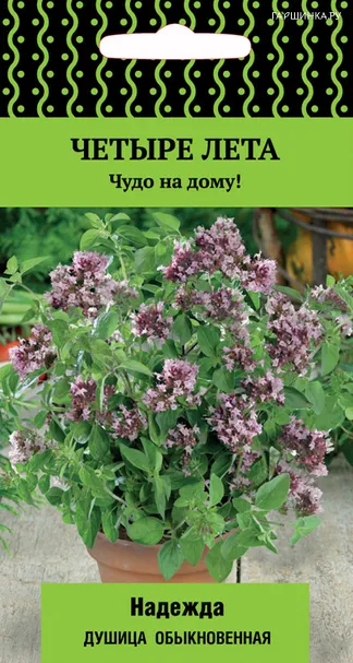 Душица (орегано) Надежда (А) обыкновенная 20, Семена Поиск