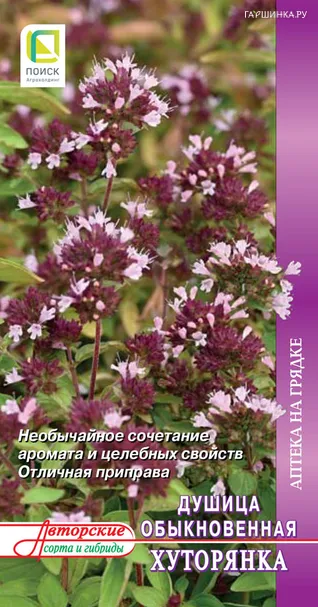 Душица (орегано) Хуторянка (А) обыкновенная 0,01, Семена Поиск