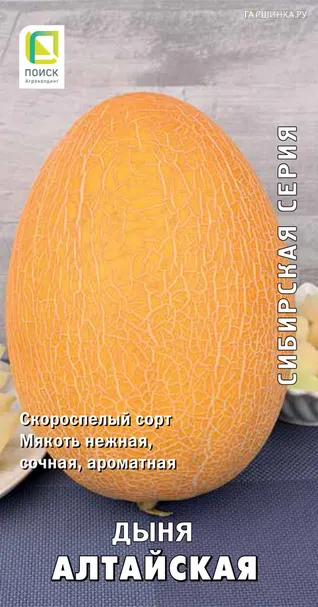 Дыня Алтайская 15, Поиск