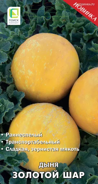 Дыня Золотой шар 15, Поиск