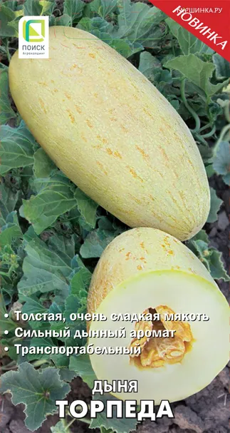 Дыня Торпеда 15 шт, Семена Поиск