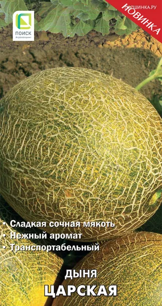Дыня Царская 15, Поиск