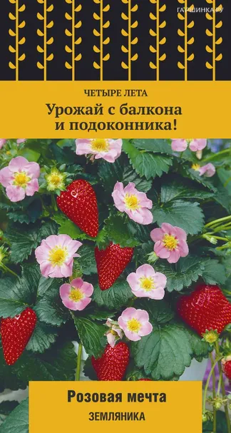 Земляника Розовая мечта 5 шт, Семена Поиск