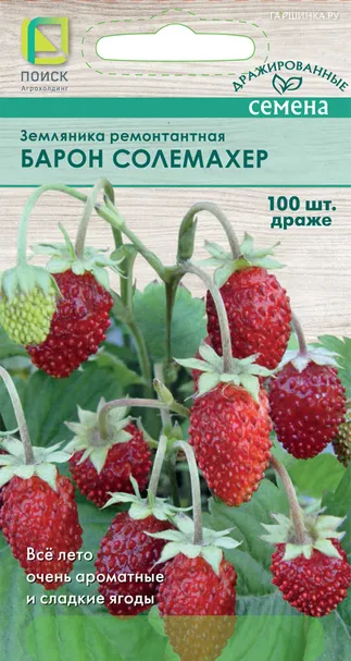 Земляника Барон Солемахер ремонтантная 100 шт, Семена Поиск
