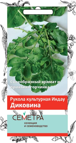 Руккола (Индау) Диковина (А) 1, Семена Поиск