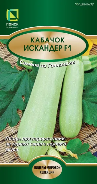Кабачок Искандер F1 5, Поиск