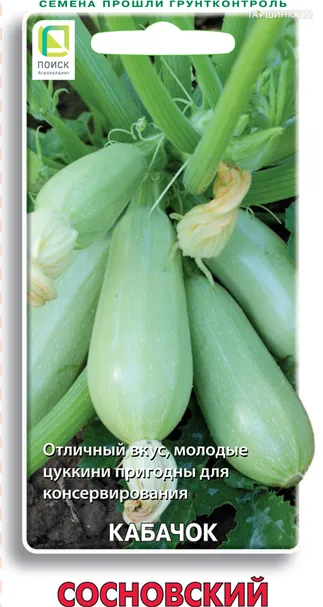 Кабачок Сосновский 12, Поиск