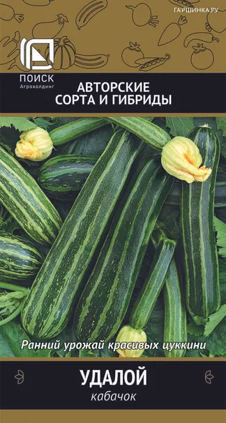 Кабачок Удалой (А) 12, Поиск