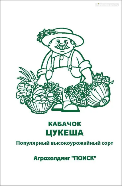 Кабачок Цукеша 12, Поиск