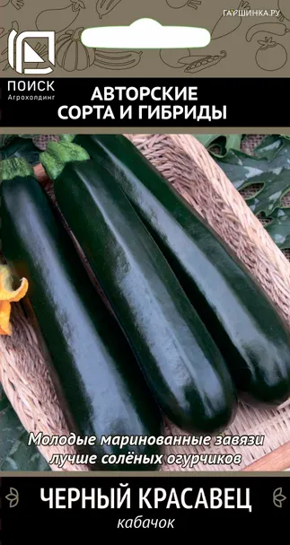Кабачок Черный красавец (А) 12, Поиск