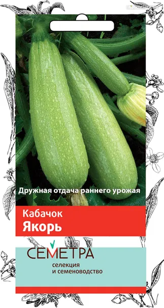 Кабачок Якорь 2, Поиск