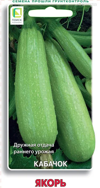 Кабачок Якорь 12, Поиск