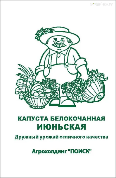 Капуста Июньская белокочанная 0,5 г, Семена Поиск