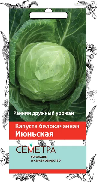 Капуста Июньская белокочанная 0,5 г, Семена Поиск