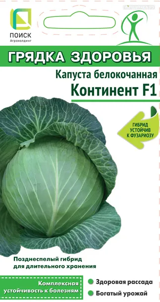 Капуста Континент F1 (А) белокочанная 0,2 г, Семена Поиск