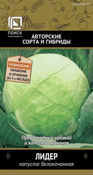 Капуста Лидер белокочанная 0,5 г, Семена Поиск