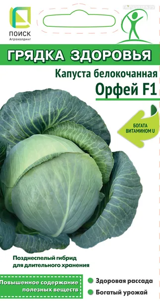 Капуста Орфей F1 (А) белокочанная 0,2 г, Семена Поиск