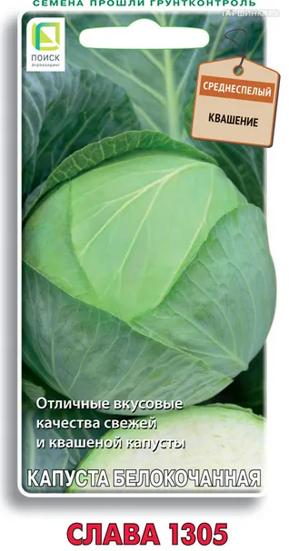 Капуста Слава 1305 белокочанная 0,5 г, Семена Поиск