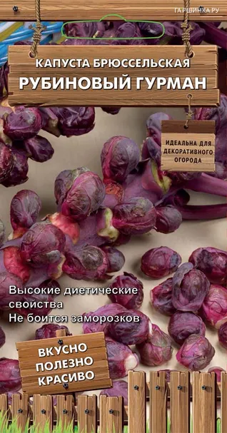 Брюссельская капуста Рубиновый гурман 0,1 г, Семена Поиск