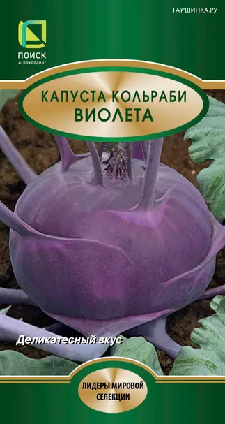 Кольраби Виолета 0,5, Семена Поиск